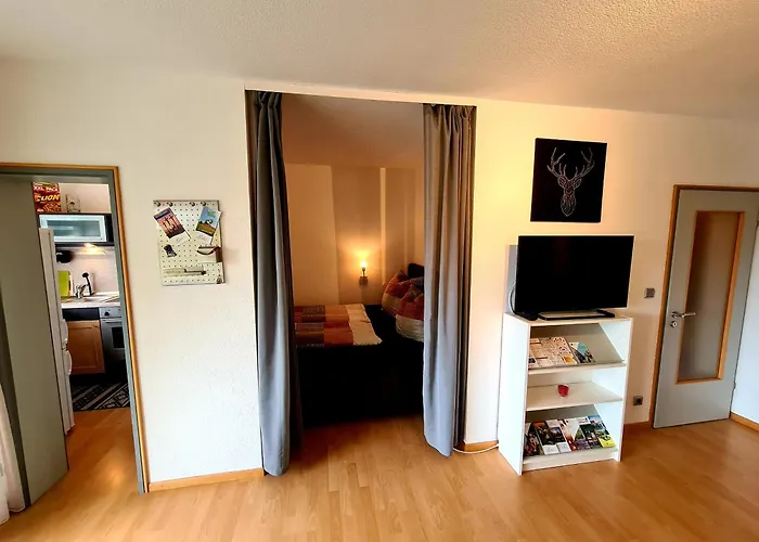 Apartment Am Wendelinus Bad Kissingen
